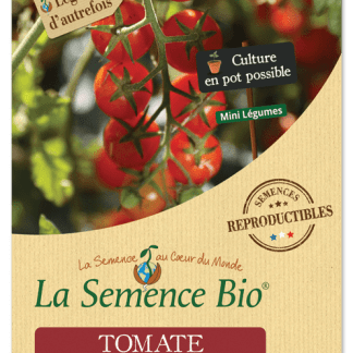 Graine Potager Bio Tomate Philamina  Semis Potager Bio Tomate Philamina –  Semences Potageres Bio – Graine Legume A Planter - Cdiscount Jardin