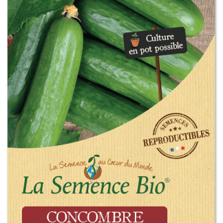 Concombre Bio Marketmore en sachet