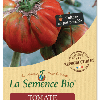 Tomate Bio Marmande en Sachet