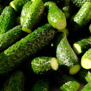 Graines de Cornichon Vert fin de Meaux Bio en Sachet