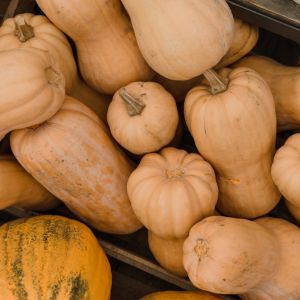 Graines de Courge Bio Violina en sachet