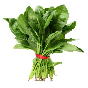 Graines d'Epinards Bio Butterflay en Sachet