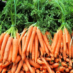 Graines de Carottes Bio de Colmar à Cœur Rouge 2 en Sachet