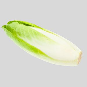 Graines de Chicorée Bio Pain de Sucre en Sachet