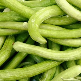 Graines de Concombres Arménien Bio en Sachet