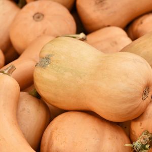 Graines de Courge Bio Carat en sachet