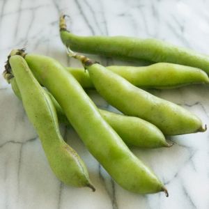 Graines de Fève Bio Express Eleonora en Sachet