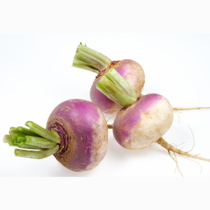 Graines de Navet Bio plat de Milan en Sachet