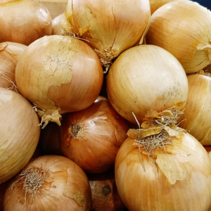 Graines Oignons Bio jaune des Cévennes en Sachet