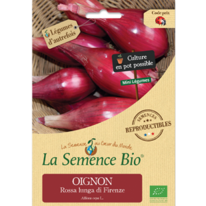 Graines Oignons Bio Rossa lunga di Firenze en Sachet