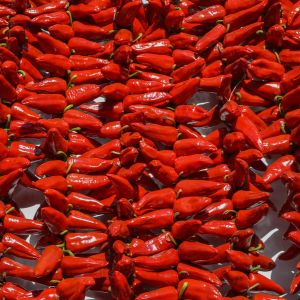 Graines de Piments Bio Gorria dit d'Espelette en Sachet