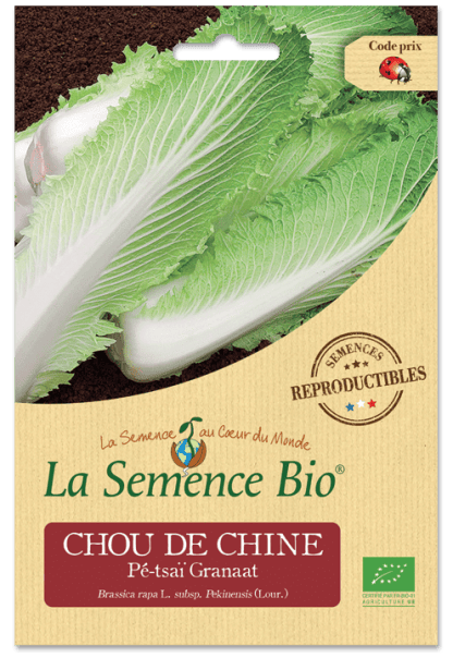 Graines De Chou De Chine GRANAAT Germisem - Légume Asiatique Pour Wok, Salade, Vapeur - Semis De Juin à Août