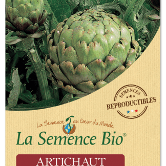 Artichauts Bio Impérial Star en Sachet