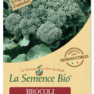 Brocolis Bio calabrais hâtif en Sachet