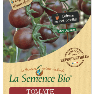 Tomates Bio Black Cherry en Sachet