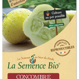 Concombres Bio Lemon en sachet