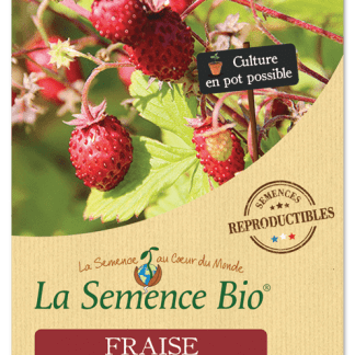 Fraises Bio Reine des Vallées en Sachet