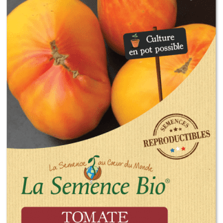 Tomates Bio Hawaiian Pineapple en Sachet