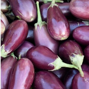 Graines d'Aubergines Bio Little Finger en Sachet
