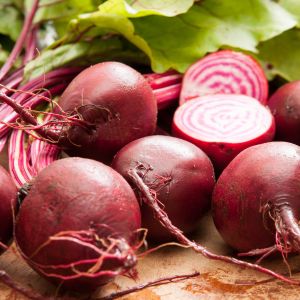 Graines de Betterave Bio Chioggia en Sachet