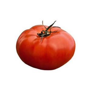 Plant de Tomate Bio Russe Rouge