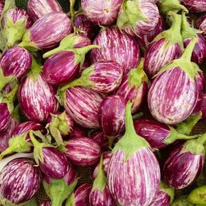 AUBERGINE RIADO