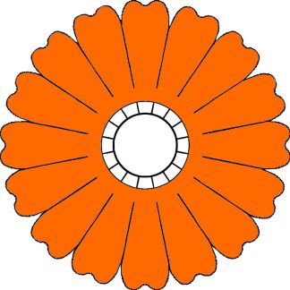 CALIBRACHOA Orange
