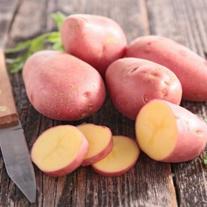 pomme de terre delila