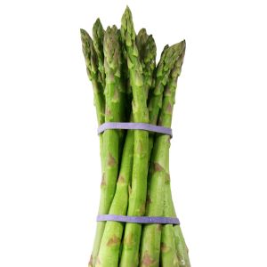 Plants-Pro griffe d'asperge Gijjlim A40/70 Conventionnelle