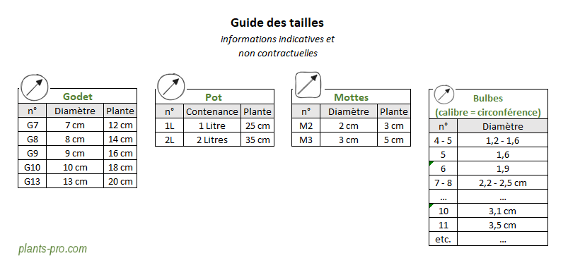 tableau comparatif taille mottes, godet, pot et bulbes