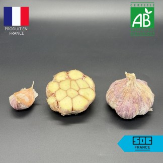 Bulbe d'Ail Bio Messidor : Calibre 60+ (Ail d'Automne) - Sac de 20kg