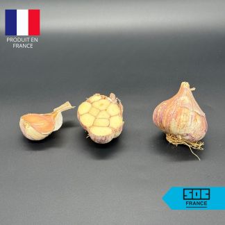 Bulbe d'Ail Flavor Rose 35/45 (Ail de Printemps) - Sac de 20kg