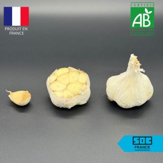 Bulbe d'Ail Messidor Bio 50/60 (Ail d'Automne) - Sac de 20kg