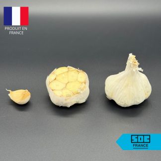Bulbe d'Ail Aulxito Non traité 45/55 (Ail d'Automne) – Sac de 20kg