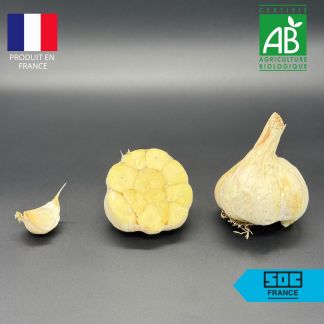 Bulbe d'Ail Messidrome Bio : calibre 50/60 (Ail d'Automne) - Sac de 20kg
