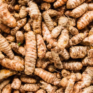 Plants de Curcuma Bio